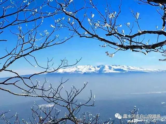 有人喜欢喝含糖饮料，但为什么含糖饮料不能代替水的摄入？游戏画面